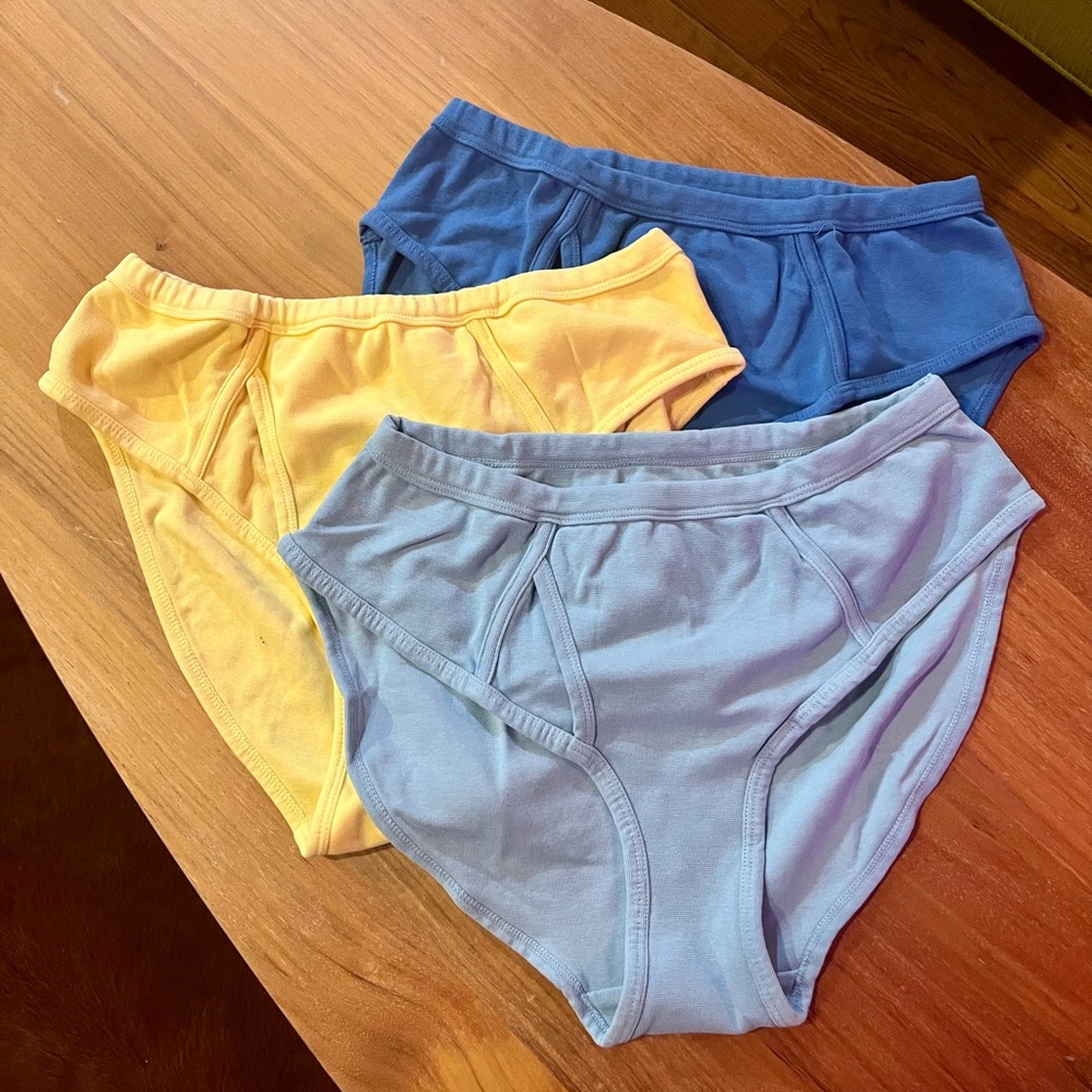 Big Bud Press 🌱 high-waisted underwear briefs, bundle of three, never worn.